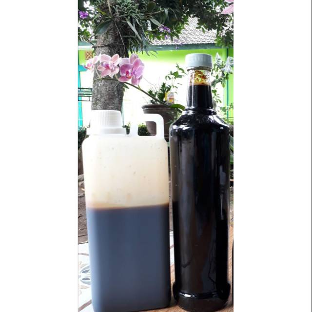 

Madu Klanceng/Trigona/Kelulut Asli. 550ml.800gr