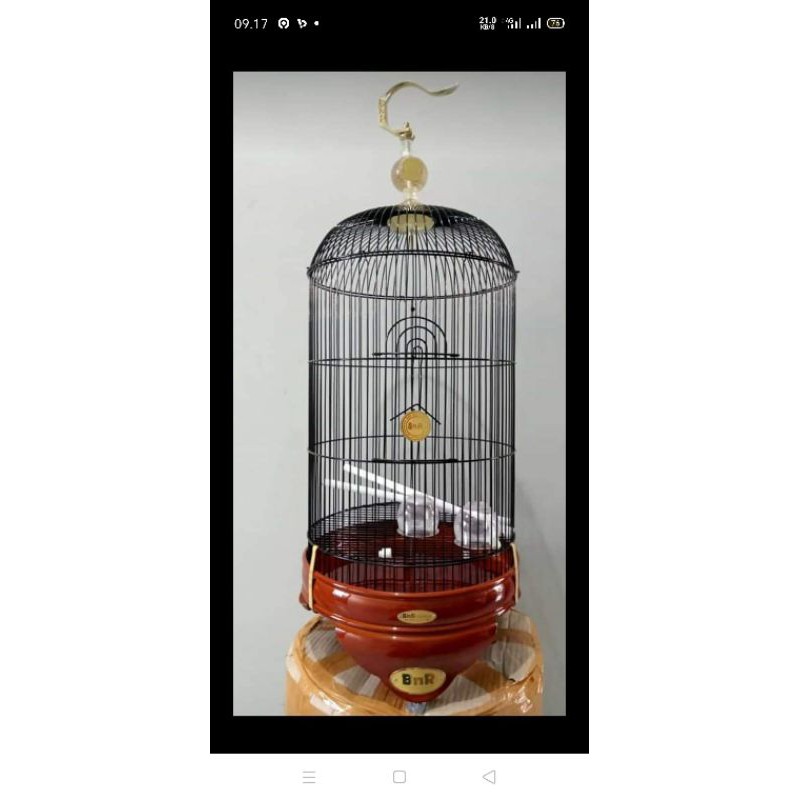 sangkar lb riborn bnr