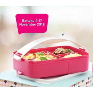 birdie lunch box CTG klik to go divided pink TANPA GAGANG YA / CTG besties biru with handle