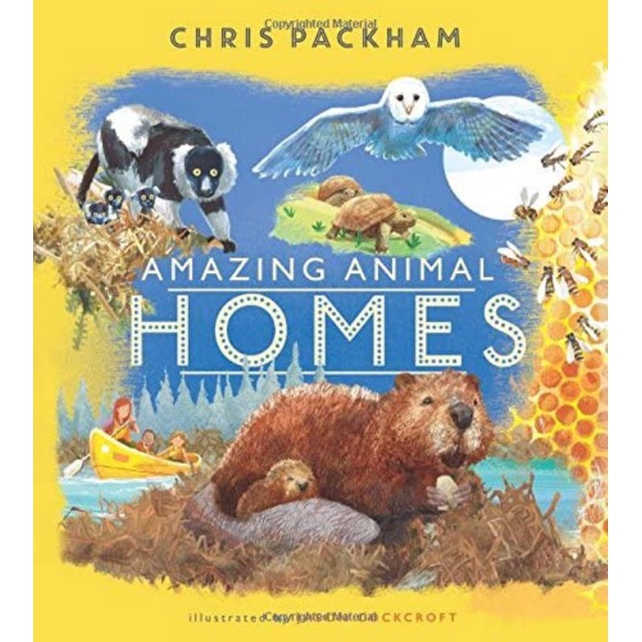 [NEW BOOK] Picture Book - Amazing Animal Homes
