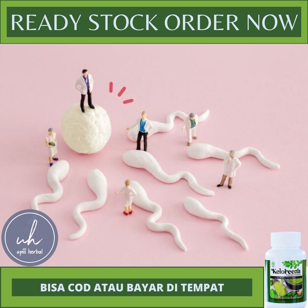 OBAT PENAMBAH JUMLAH SPERMA, OBAT PENYUBUR SPERMA, OBAT PENAMBAH VOLUME SPERMA, SUPLEMEN UNTUK PENYU