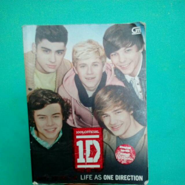 One Direction Dare To Dream official book