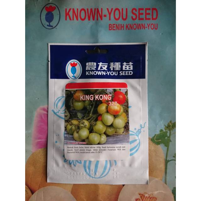 Benih Biji Bibit Tomat Buah Besar KING KONG F1 1gr (390bj)