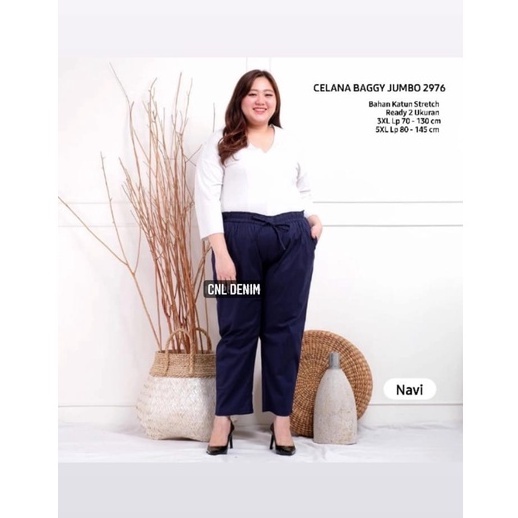 PROMO !!! BAGGY PANTS TWILL PREMIUM | CELANA KERJA DAN SANTAY | BAGGY PANT PREMIUM | CELANA MURAH