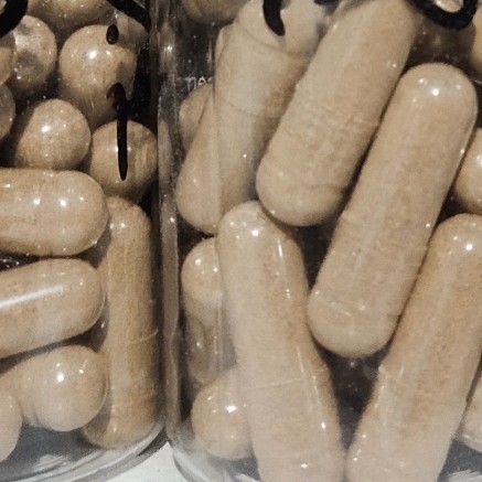 Kapsul Kayu Ular Serut Halus Doro Putih/Widoro 100pcs Kemasan Cantik