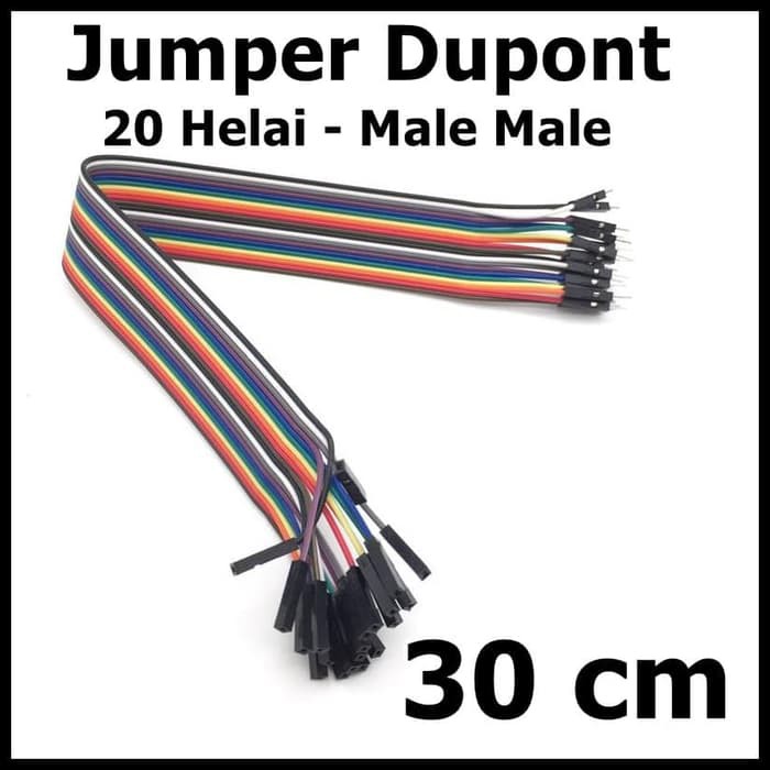 Kabel Jumper Male Male isi 20 Helai Panjang 30 cm