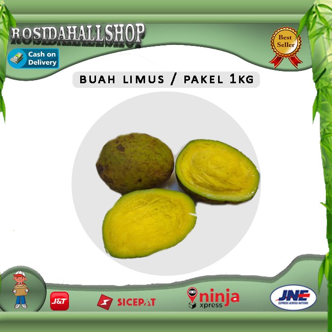 

Buah pakel limus / buah limus / buah limus segar / buah mangga bacang