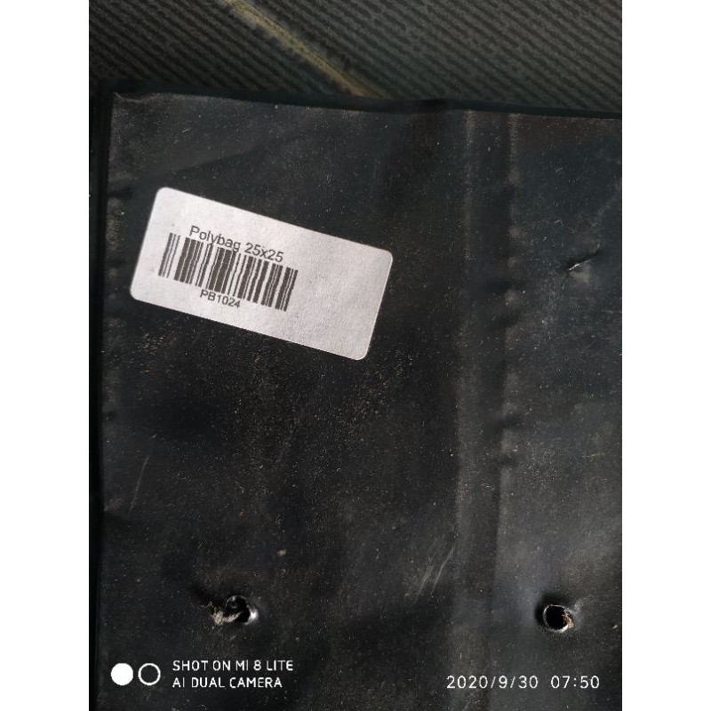 POLYBAG 25X25