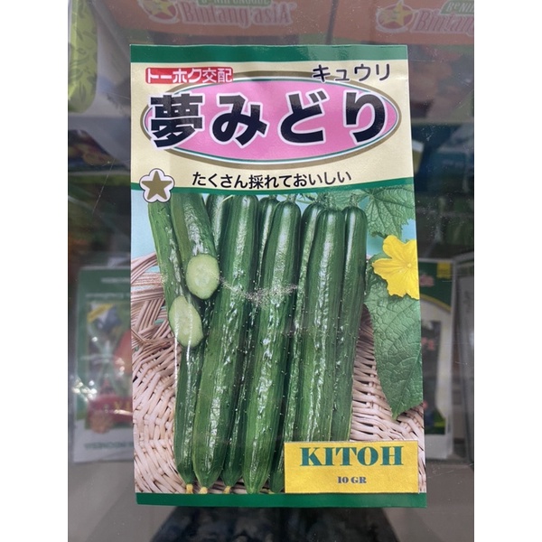 Benih Timun Jepang Kitoh Kyuri 10gr