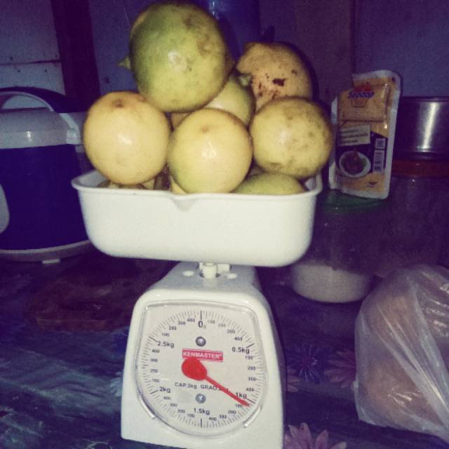 

Lemon Lokal Murah