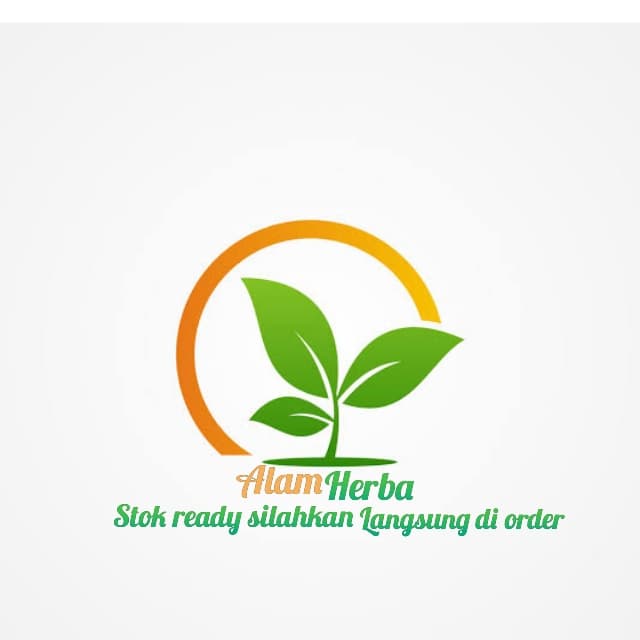 DISCOUNT BIBIT POHON JERUK SANTANG MADU / TANAMAN BUAH JERUK SANTANG MADU