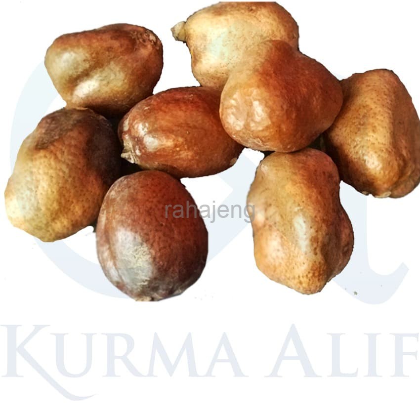 

Buah Zuriat / Zuriyat / Doum 500 gr Promil asli madinah Oleh Oleh Haji