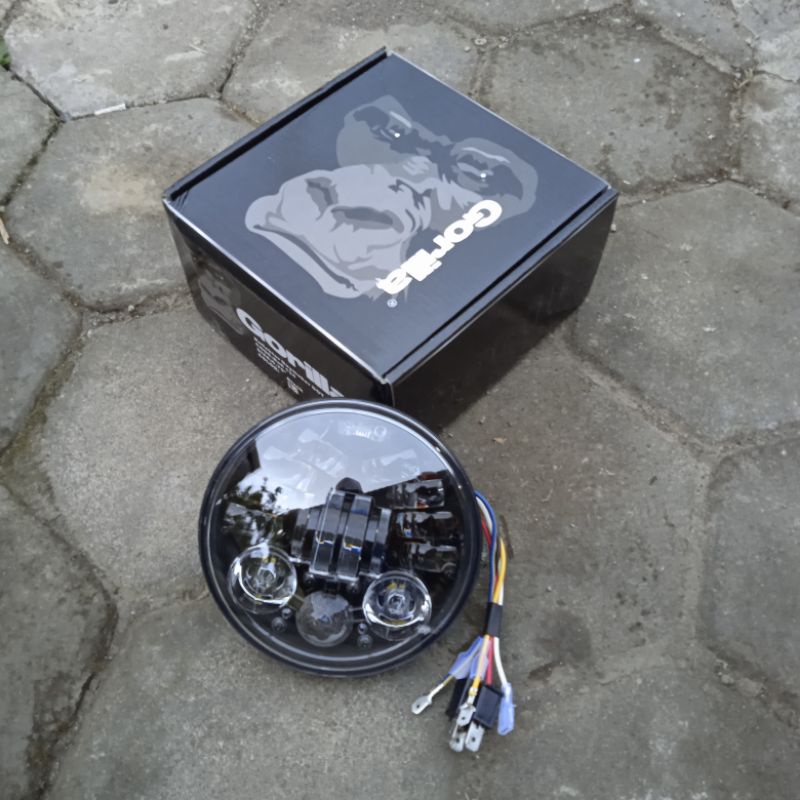 Daymaker Gorilla 5,75inch