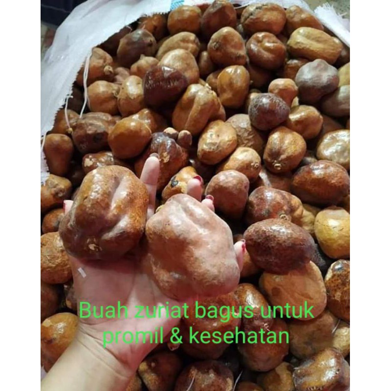 

Buah Zuriat