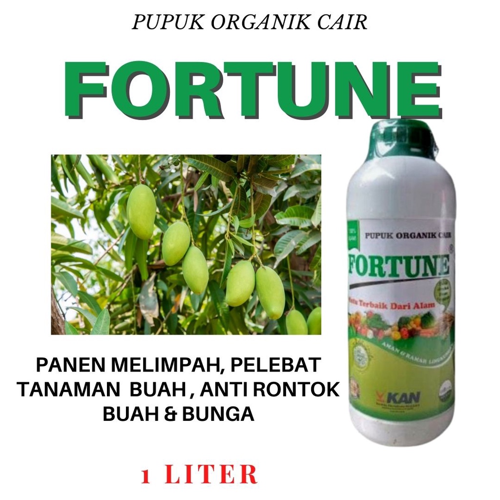 Pupuk Cair Organik Untuk Pohon Buah Mangga, Pupuk Pelebat Mangga Boster Mangga