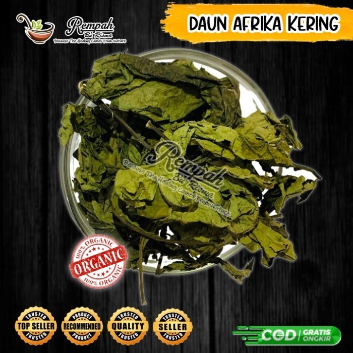 

Daun Afrika Kering 500 Gram Rempah Bu Risma