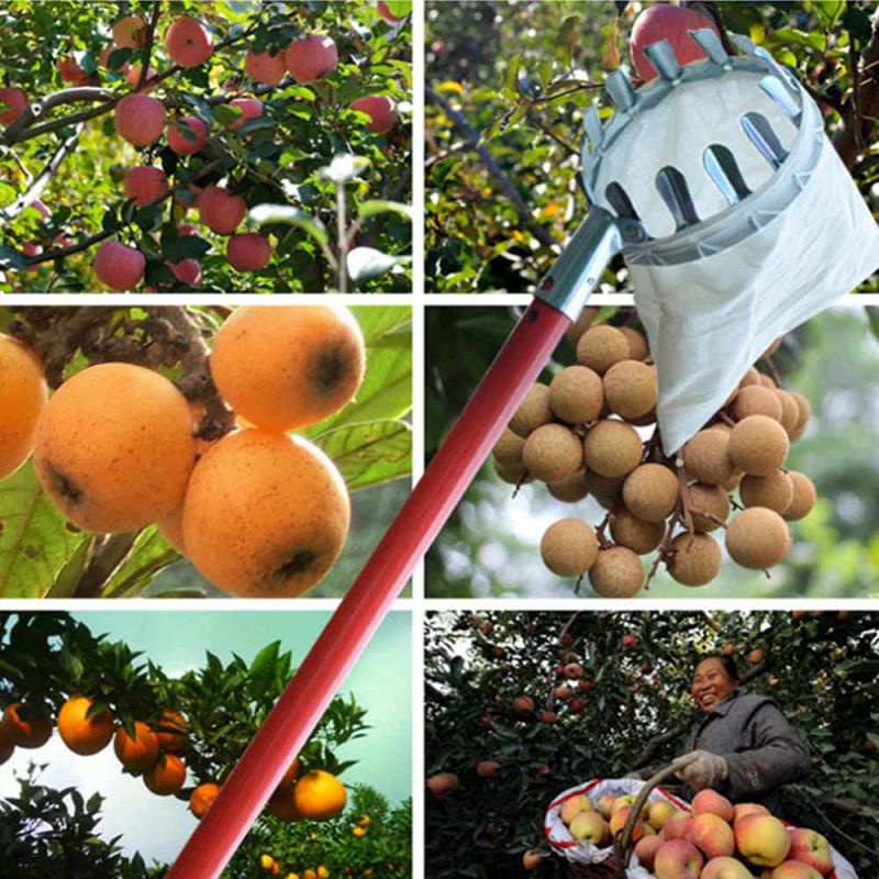 Alat Pemetik Buah Alat Petik Buah Pemanen Buah Alat Pengambil Buah Fruit Picker Tanpa Tongkat