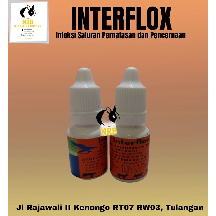 INTERFLOX ORAL/OBAT FLU KELINCI KUCING DLL REPACK 10 ML