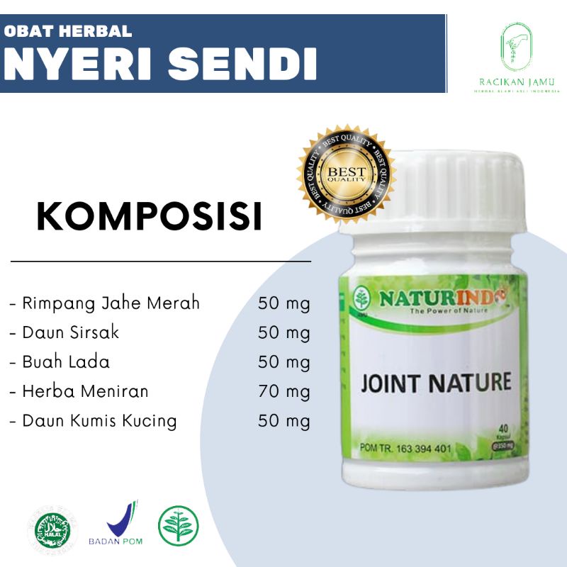JOINT NATURE obat herbal nyeri sendi dan pegal linu mengatasi kesemutan kebas di tangan dan kaki-1