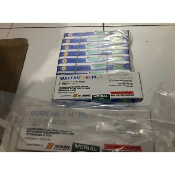 Vaksin Anjing Eurican 4 E4 Puppies Puppy Indonesia