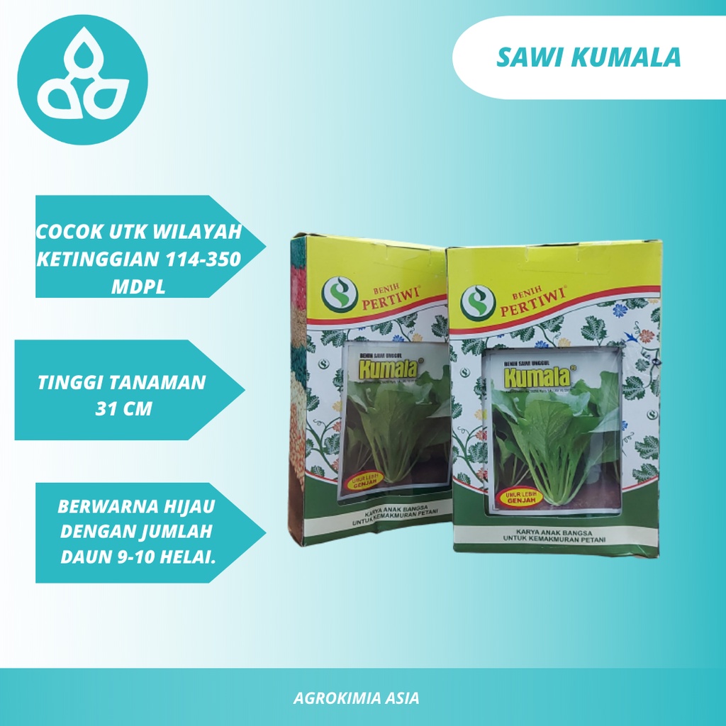 Benih Sawi Unggul KUMALA - Benih Sawi Unggul Prtiwi - Benih Sawi Best Seller - Terlaris Benih Sawi Unggulan Pertiwi