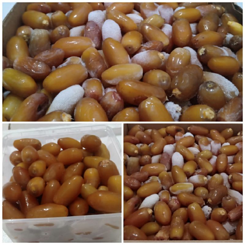 

Kurma RUTHOB NON TANGKAI