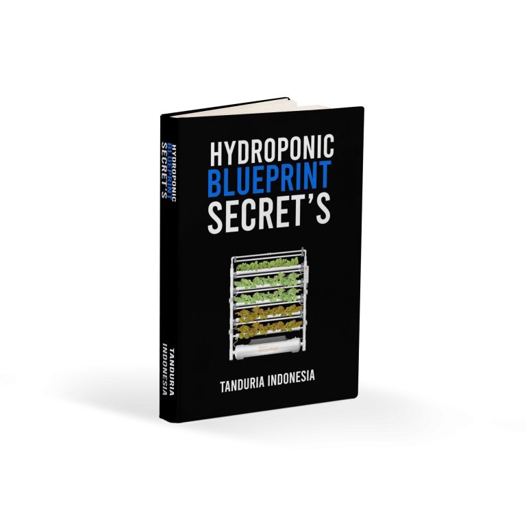 Kelas Hidroponik Blueprint Secrets