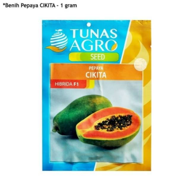 Benih pepaya CIKITA Hibrida f1