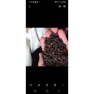

Lada Hitam atau Merica Hitam 1 kg. Paling Murah dan Bagus