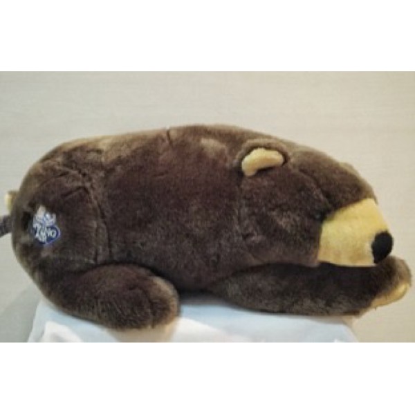 Boneka spring air bear