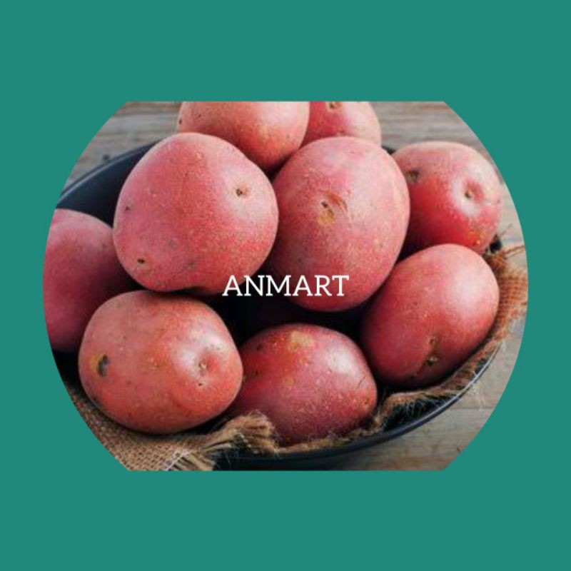 

ANMART | 500gr Kentang Merah | Sayur Online