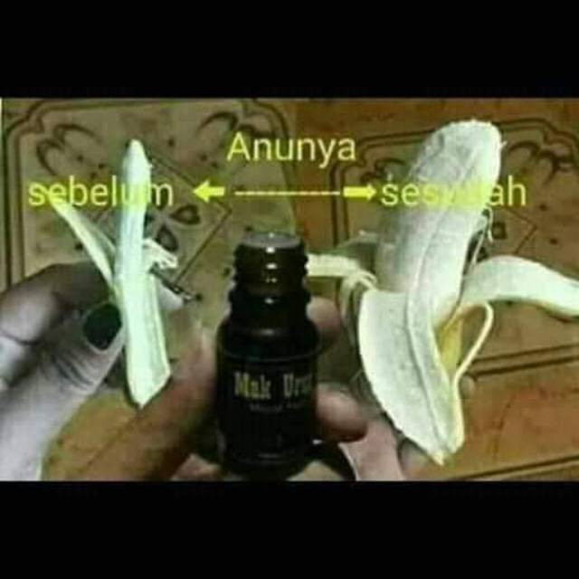

PISANG URUT
