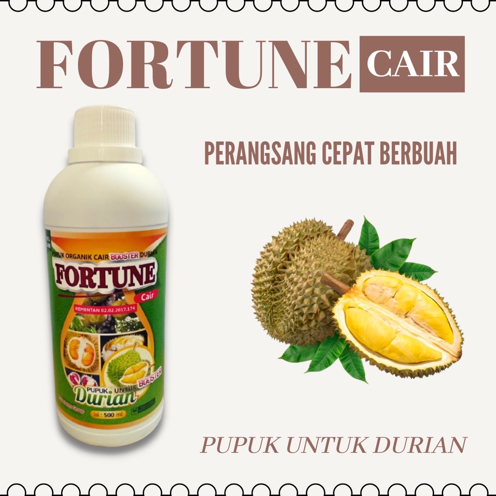Pupuk Durian, Pupuk Durian Cepat Berbuah, Pupuk Durian Berbuah Lebat, Booster Durian Cair
