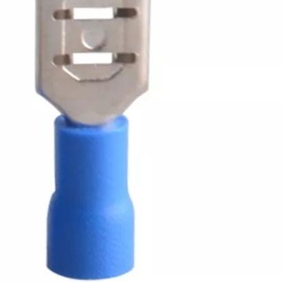 Skun Female FDD 2-250 Blue