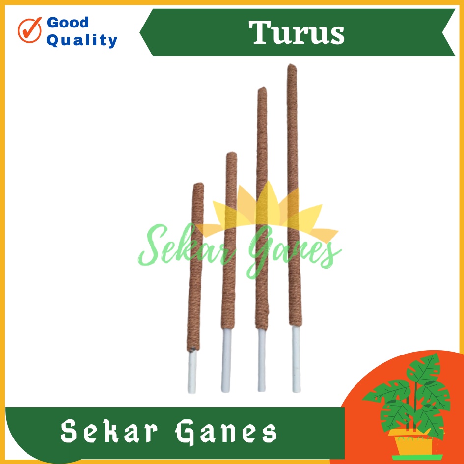 Turus Pipa Ulir 50 60 80 90 Cm Turus Sabut Kelapa Penyangga Tanaman Rambat 100cm Bkn Turus Lumut