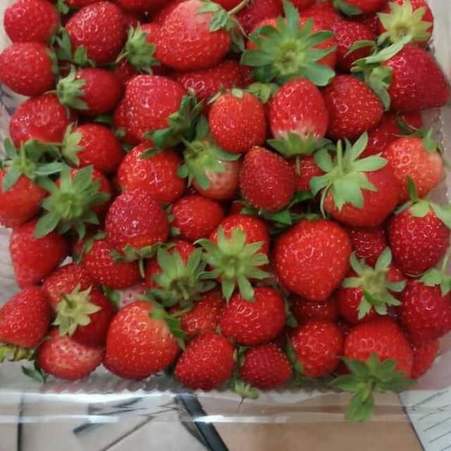 

Strawberry