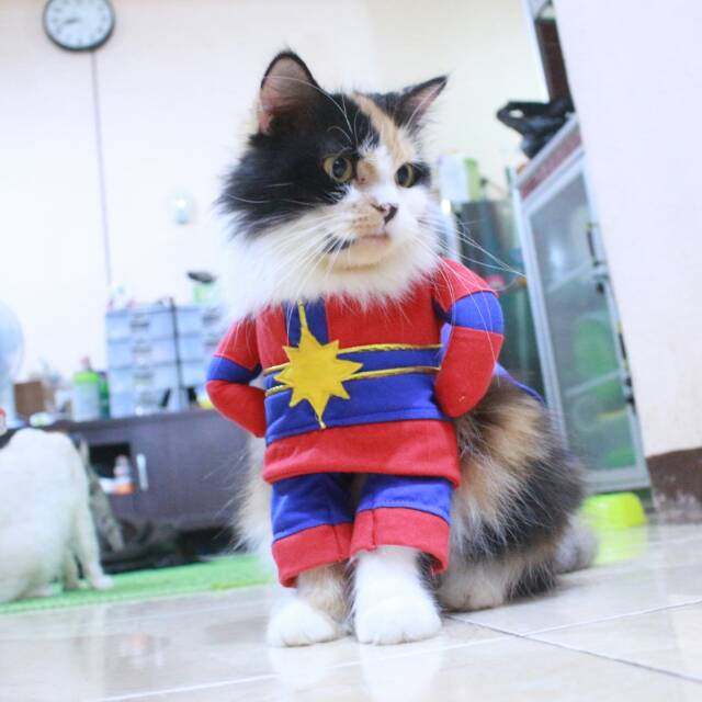 Kostum kapten marvel final untuk kucing dan anjing / baju kucing murah size S M L XL