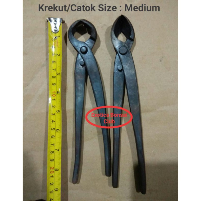 Catok/Krekut Bonsai Lokal uk. Medium