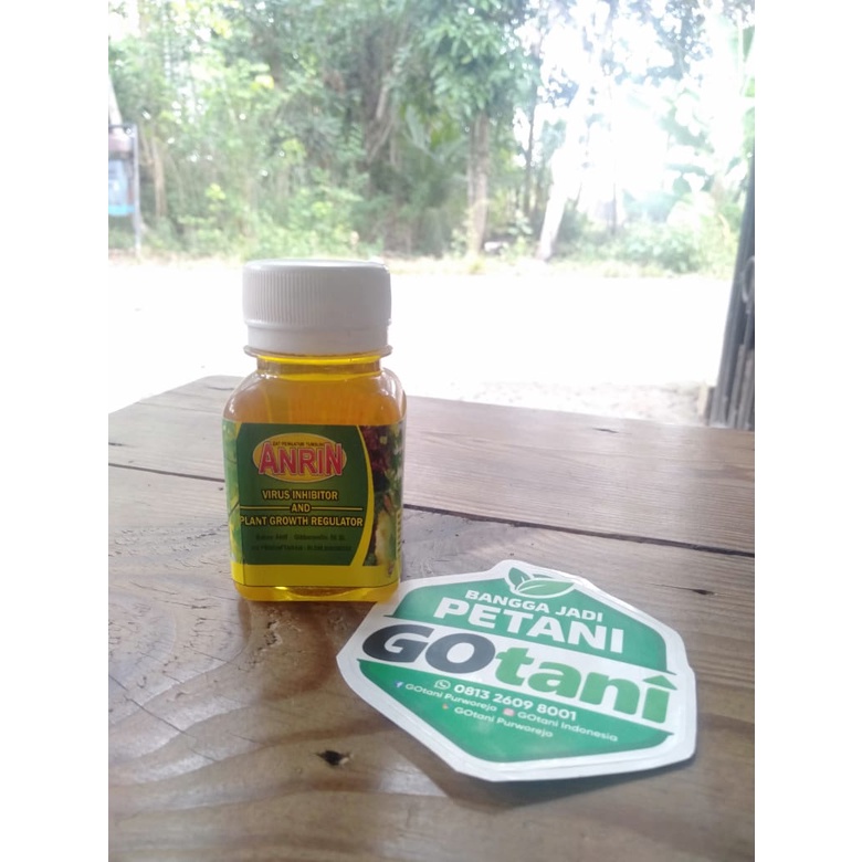ZPT ZAT PENGATUR TUMBUH ANRIN 60ML