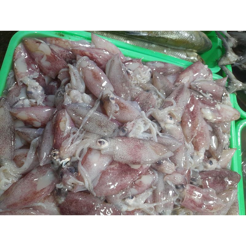 

cumi basah 250 gram