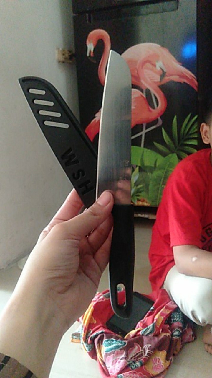 Pisau Buah Cover - Pisau Dapur Cover Stainless Ukuran 23 Cm