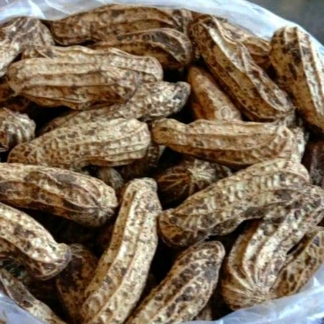 

kacang polong mentah 1kilo 12ribu