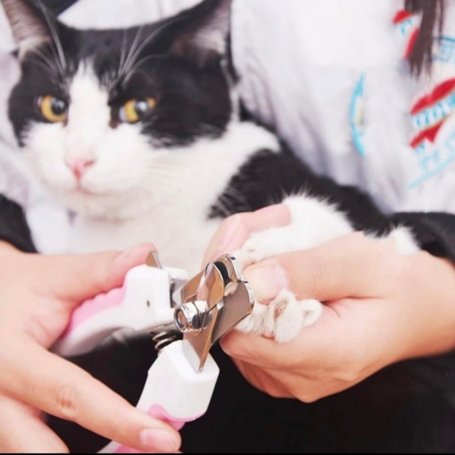 Pet Grooming "1Set Bervarian Isi 1 Gunting Kuku + 1 Kikir" Pet Nail Clipper