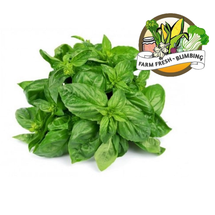 

daun kemanggi 200 grm