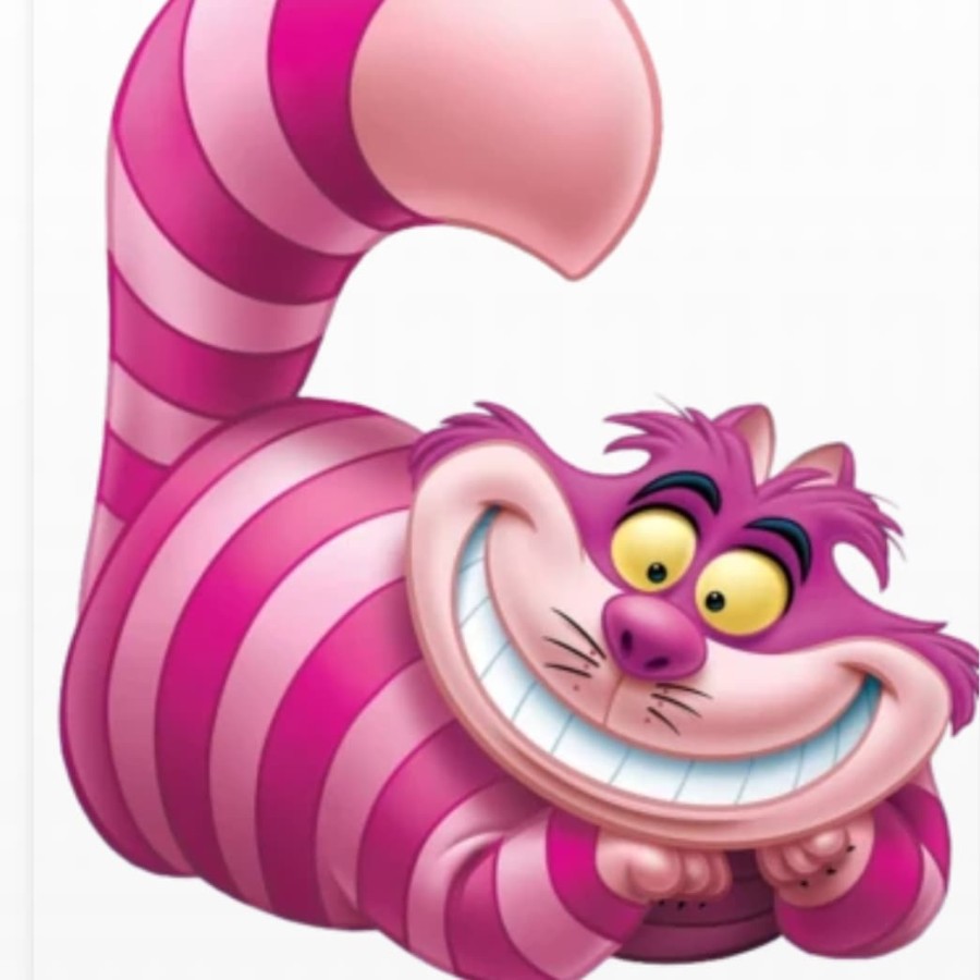 Cheshire Cat Alice in wonderland costume cosplay haloween anak