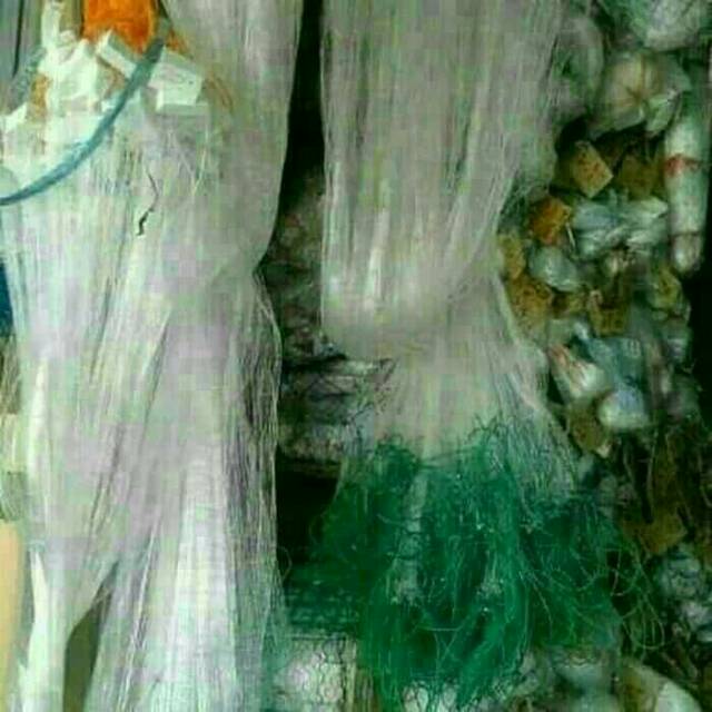 Jaring ikan siap pakai senar 015 ukuran 1 inci(sebesar jari telunjuk) panjang 10meter,lebar 120 cm