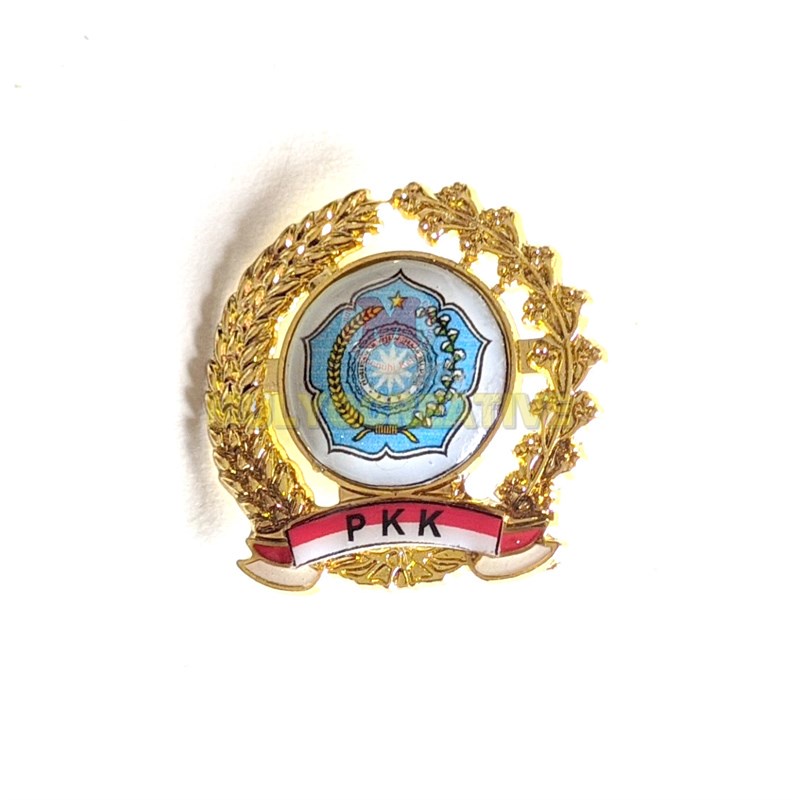 Pin Logo PKK - Pin PKK Perangkat Desa Pemberdayaan Kesejahteraan Keluarga Warna Biru