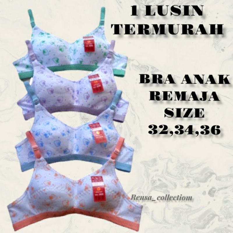 BRA ANAK REMAJA ( 1 LUSIN )