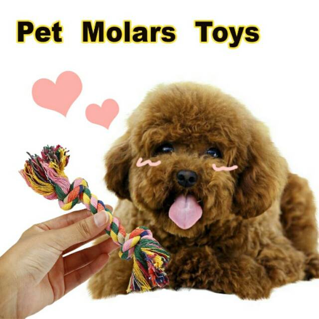 mainan toys anjing gigitan kain gigit