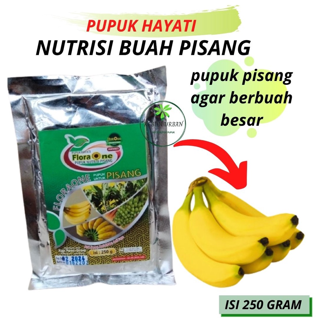 Jual Pupuk Pisang Agar Berbuah Lebat, Obat Untuk Tanaman Pisang ...